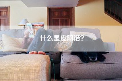 什么是皮阿诺？-第1张图片