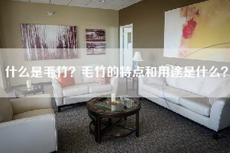 什么是毛竹？毛竹的特点和用途是什么？-第1张图片