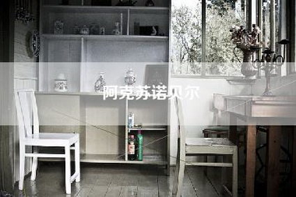阿克苏诺贝尔-第1张图片