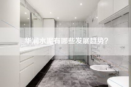 华润水泥有哪些发展趋势？-第1张图片