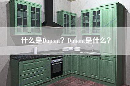 什么是Dupont？Dupont是什么？-第1张图片