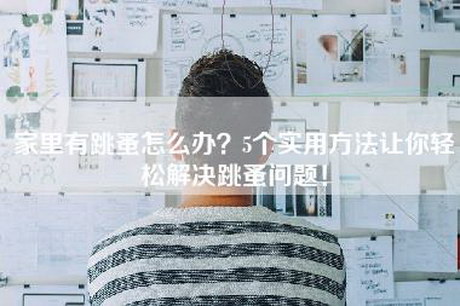 家里有跳蚤怎么办？5个实用方法让你轻松解决跳蚤问题！-第1张图片