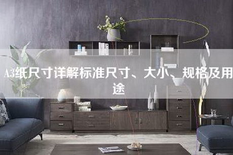 A3纸尺寸详解标准尺寸、大小、规格及用途-第1张图片
