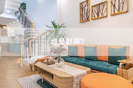 谁是赵琳?-第1张图片 谁是赵琳?-第1张图片