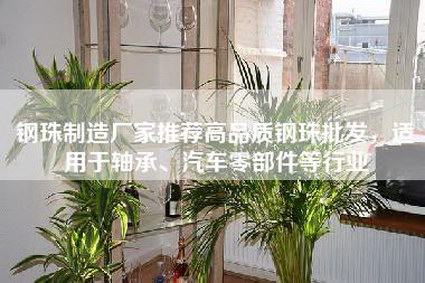 钢珠制造厂家推荐高品质钢珠批发，适用于轴承、汽车零部件等行业-第1张图片