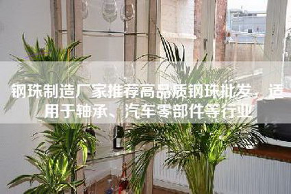      制造厂家推荐高品质     批发，适用于轴承、汽车零部件等行业-第1张图片