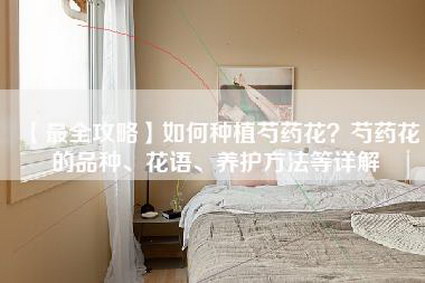 【最全攻略】如何种植芍药花？芍药花的品种、花语、养护方法等详解-第1张图片