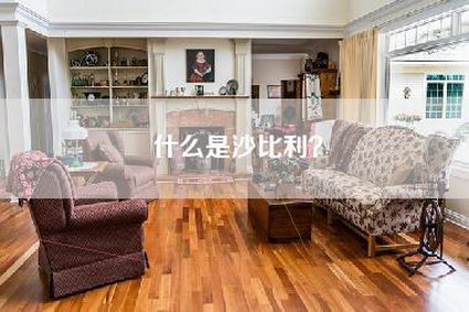 什么是沙比利?-第1张图片 什么是沙比利?-第1张图片