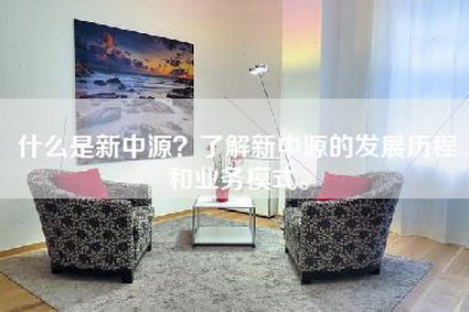 什么是新中源？了解新中源的发展历程和业务模式。-第1张图片