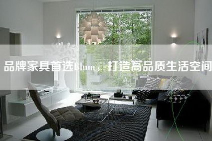 品牌家具首选Blum，打造高品质生活空间-第1张图片