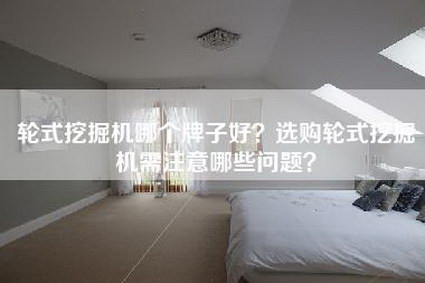 轮式挖掘机哪个牌子好？选购轮式挖掘机需注意哪些问题？-第1张图片