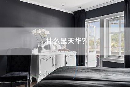 什么是天华？-第1张图片