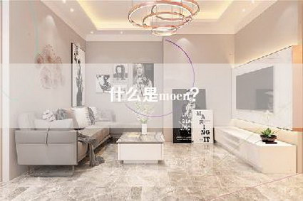 什么是moen？-第1张图片
