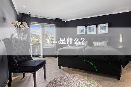 Casa是什么？-第1张图片