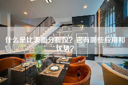 什么是比表面分析仪？它有哪些应用和优势？-第1张图片