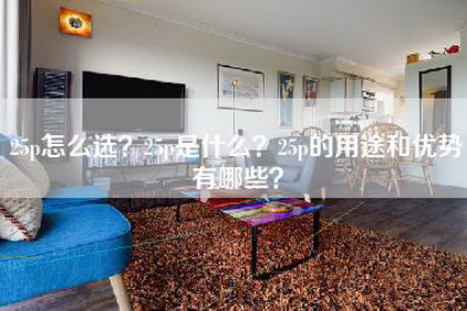25p怎么选？25p是什么？25p的用途和优势有哪些？-第1张图片