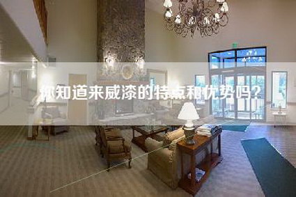 你知道来威漆的特点和优势吗?-第1张图片 你知道来威漆的特点和优势吗?-第1张图片