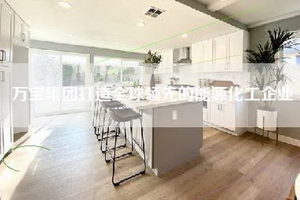 万宝集团打造全球领先的能源化工企业-第1张图片 万宝集团打造全球领先的能源化工企业-第1张图片