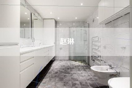 赵琳-第1张图片