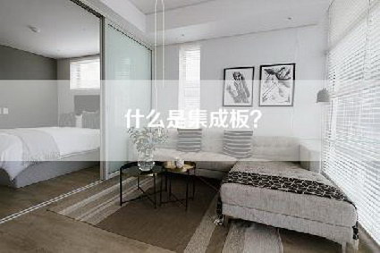 什么是集成板？-第1张图片