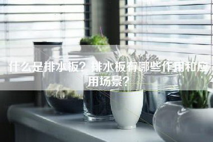 什么是排水板?排水板有哪些作用和应用场景?-第1张图片 什么是排水板?排水板有哪些作用和应用场景?-第1张图片