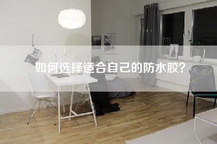 如何选择适合自己的防水胶?-第1张图片 如何选择适合自己的防水胶?-第1张图片