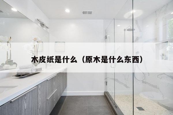 木皮纸是什么（原木是什么东西）-第1张图片