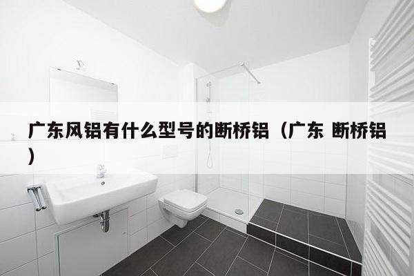 广东风铝有什么型号的断桥铝（广东 断桥铝）-第1张图片