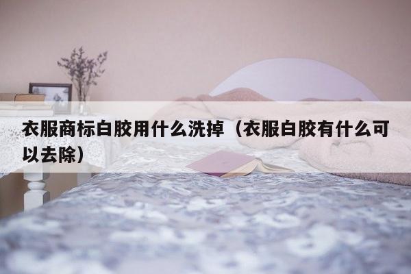 衣服商标白胶用什么洗掉（衣服白胶有什么可以去除）-第1张图片