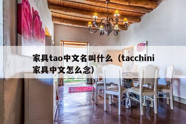 家具tao中文名叫什么（tacchini家具中文怎么念）-第1张图片
