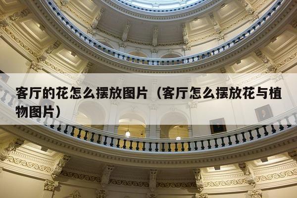 客厅的花怎么摆放图片（客厅怎么摆放花与植物图片）-第1张图片