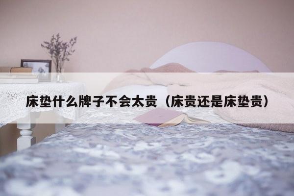 床垫什么牌子不会太贵（床贵还是床垫贵）-第1张图片