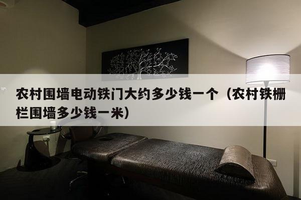 农村围墙电动铁门大约多少钱一个（农村铁栅栏围墙多少钱一米）-第1张图片