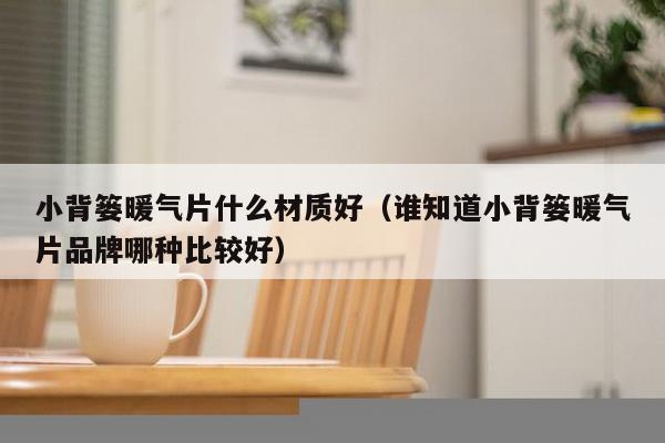 小背篓暖气片什么材质好（谁知道小背篓暖气片品牌哪种比较好）-第1张图片