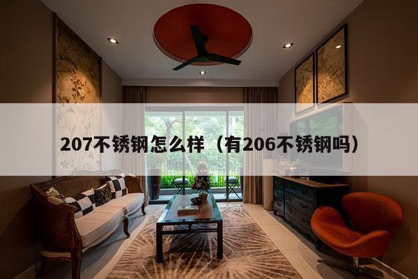 207不锈钢怎么样（有206不锈钢吗）-第1张图片