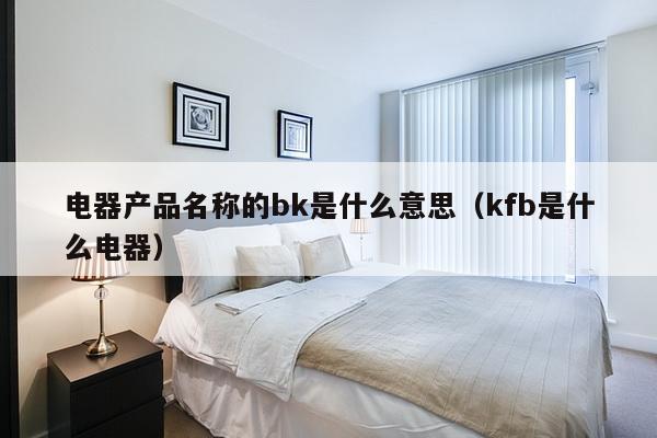 电器产品名称的bk是什么意思（kfb是什么电器）-第1张图片