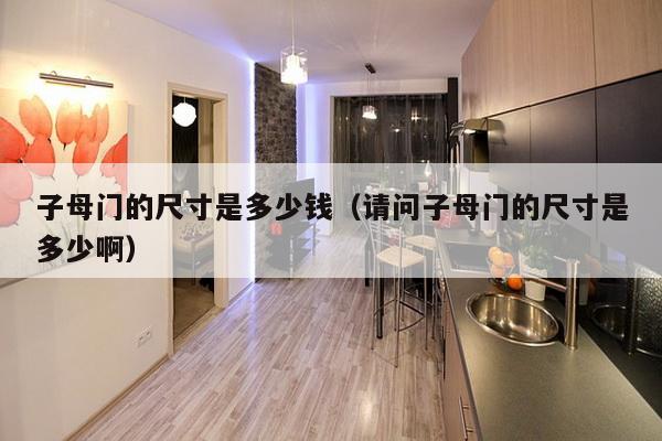 子母门的尺寸是多少钱（请问子母门的尺寸是多少啊）-第1张图片