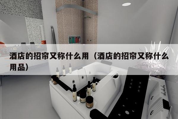 酒店的招帘又称什么用（酒店的招帘又称什么用品）-第1张图片