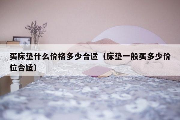 买床垫什么价格多少合适（床垫一般买多少价位合适）-第1张图片