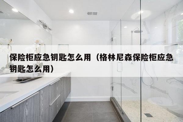 保险柜应急钥匙怎么用（格林尼森保险柜应急钥匙怎么用）-第1张图片