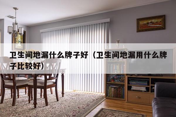 卫生间地漏什么牌子好（卫生间地漏用什么牌子比较好）-第1张图片