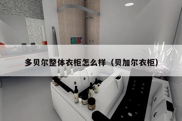 多贝尔整体衣柜怎么样（贝加尔衣柜）-第1张图片