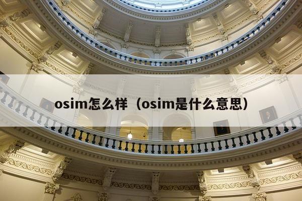 osim怎么样（osim是什么意思）-第1张图片