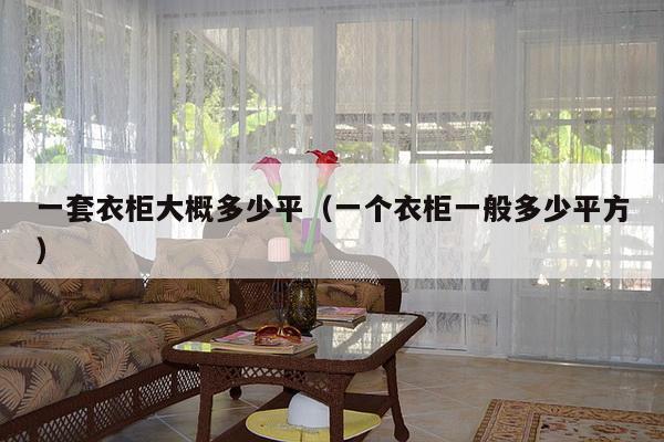 一套衣柜大概多少平（一个衣柜一般多少平方）-第1张图片