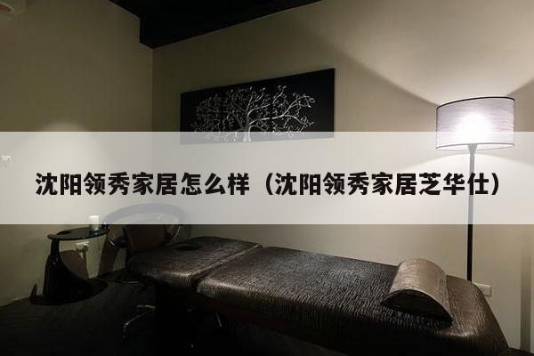 沈阳领秀家居怎么样（沈阳领秀家居芝华仕）-第1张图片