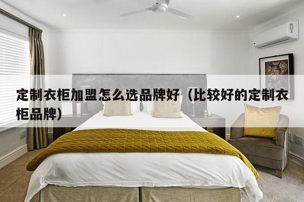 定制衣柜加盟怎么选品牌好（比较好的定制衣柜品牌）-第1张图片