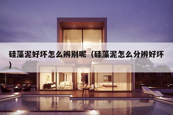 硅藻泥好坏怎么辨别呢（硅藻泥怎么分辨好坏）-第1张图片