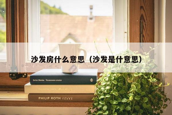 沙发房什么意思（沙发是什意思）-第1张图片