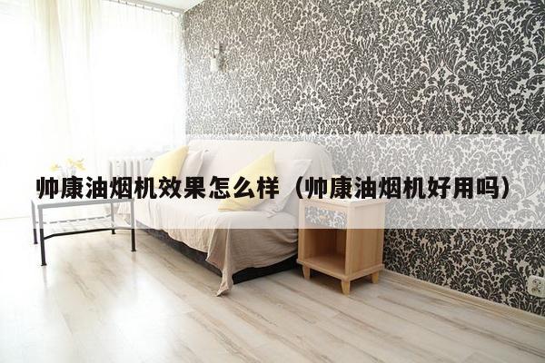 帅康油烟机效果怎么样（帅康油烟机好用吗）-第1张图片