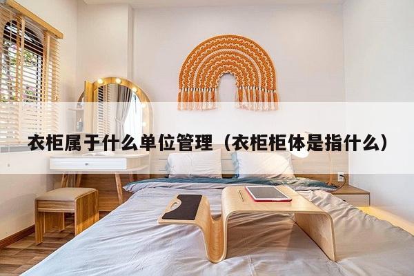衣柜属于什么单位管理(衣柜柜体是指什么)-第1张图片 衣柜属于什么单位管理(衣柜柜体是指什么)-第1张图片